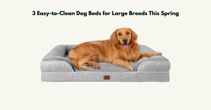 3 Easy-to-Clean Dog Beds for Large Breeds This Spring