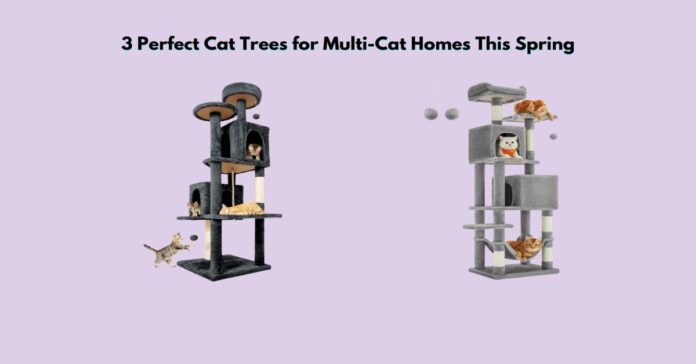 3 Perfect Cat Trees for Multi-Cat Homes This Spring