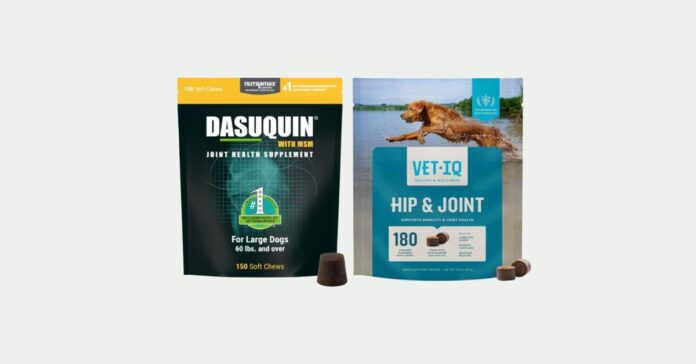 3 Top Dog Foods for Joint Support This Spring