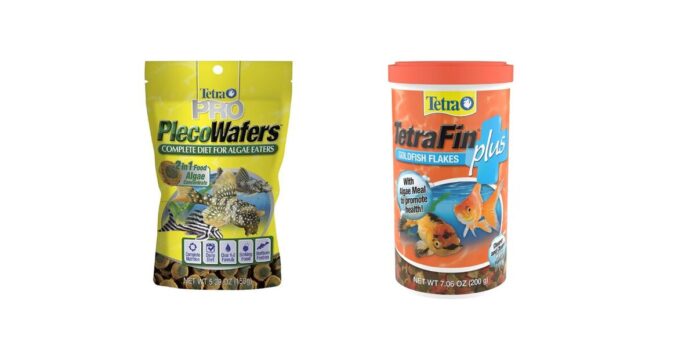 Discover 3 Eco-Friendly Fish Foods for a Greener Aquarium This Spring
