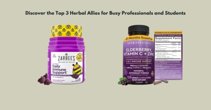 Discover the Top 3 Herbal Allies for Busy Professionals and Students