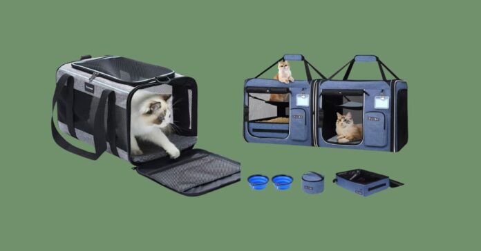 First-Time Dog Owners 4 Essential Carriers for a Smooth Journey