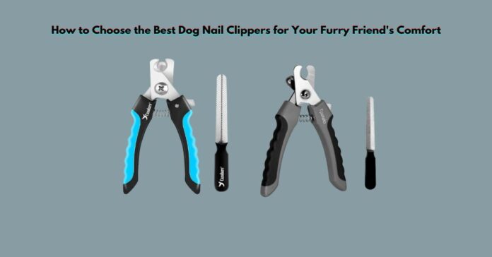How to Choose the Best Dog Nail Clippers for Your Furry Friend's Comfort