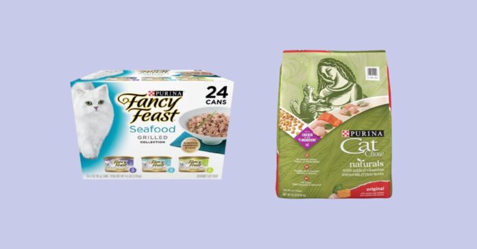 How to Find the Perfect Cat Food for Your Pet’s Needs