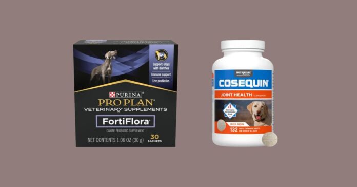 Keep Your Pet Safe and Healthy This Easter with Top Health Supplements