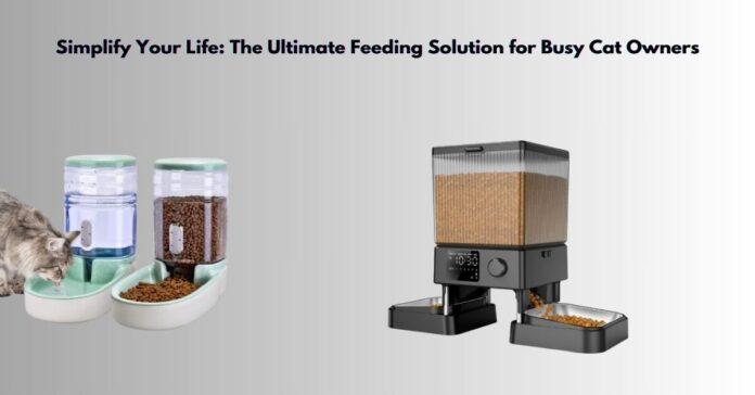 Simplify Your Life The Ultimate Feeding Solution for Busy Cat Owners