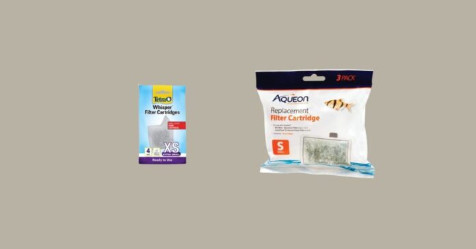 Spring into Aquarium Care Top Filters for Small Tanks