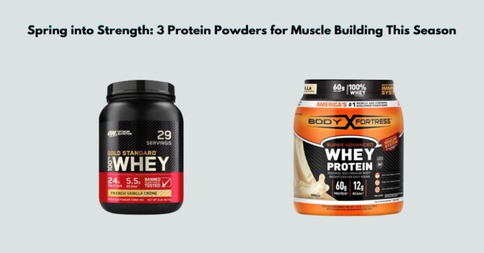 Spring into Strength 3 Protein Powders for Muscle Building This Season