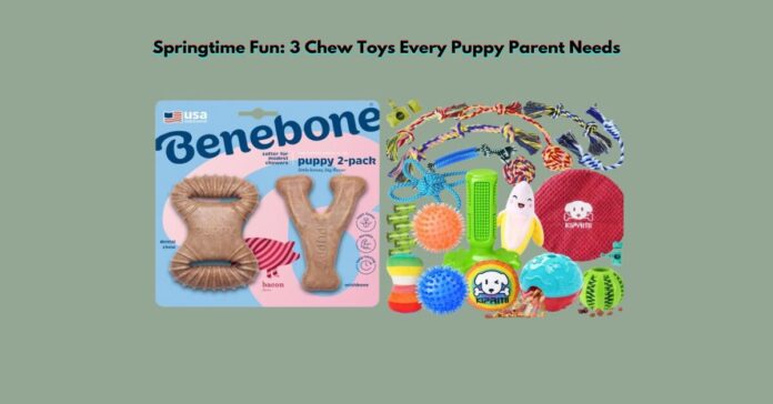 Springtime Fun 3 Chew Toys Every Puppy Parent Needs