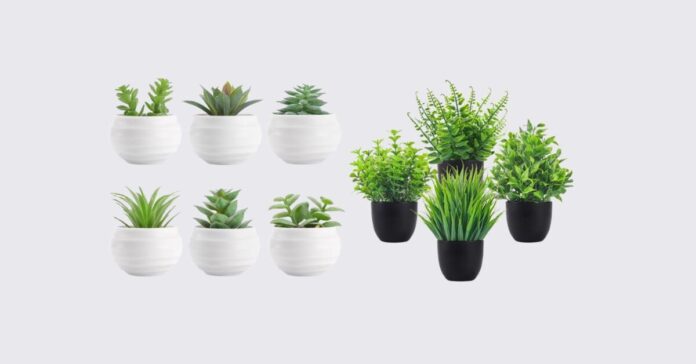 The Ultimate Guide to Indoor Plants for Remote Professionals