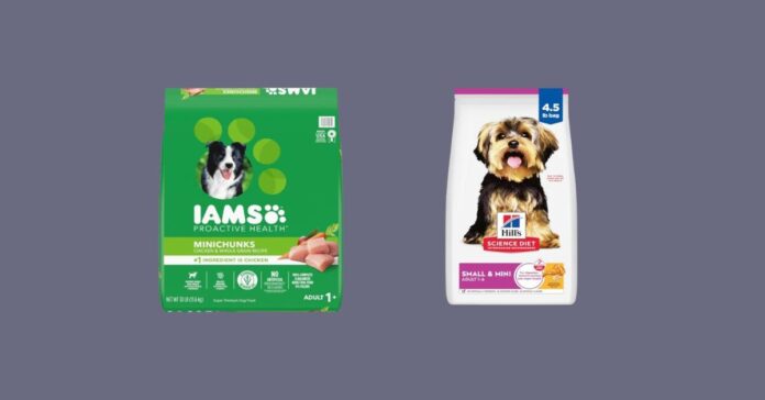 Why Premium Dog Food is the Best Choice for Your Furry Family Member