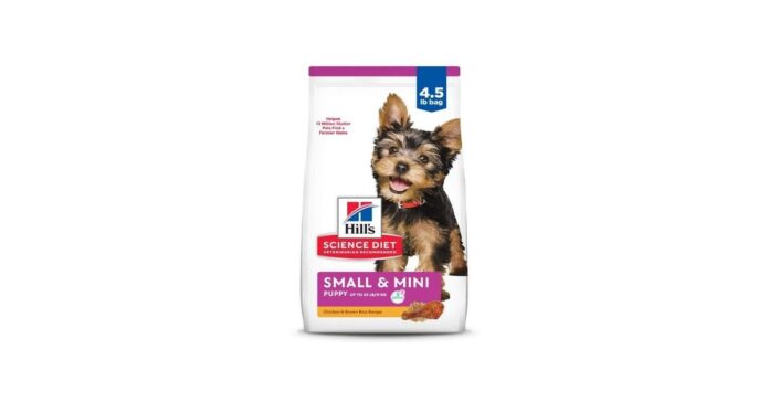 5 Nutrient-Packed Puppy Foods to Try This Spring