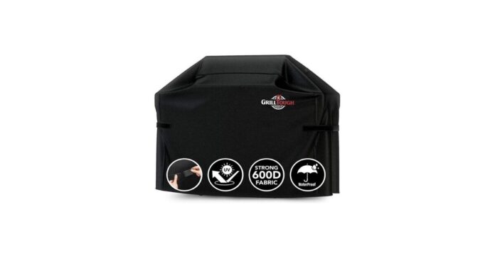 How to Choose the Perfect Portable Gas Grill for Your Spring Picnics