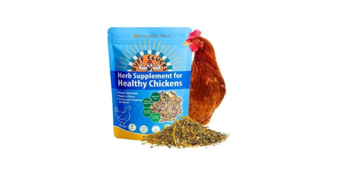 How to Elevate Your Chicken Game for the Perfect Picnic