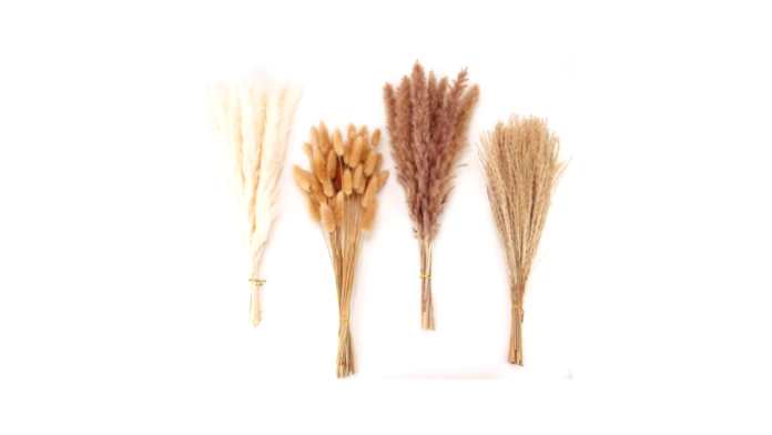 Spruce Up Your Space 9 Summer Decor Trends You Need to Know