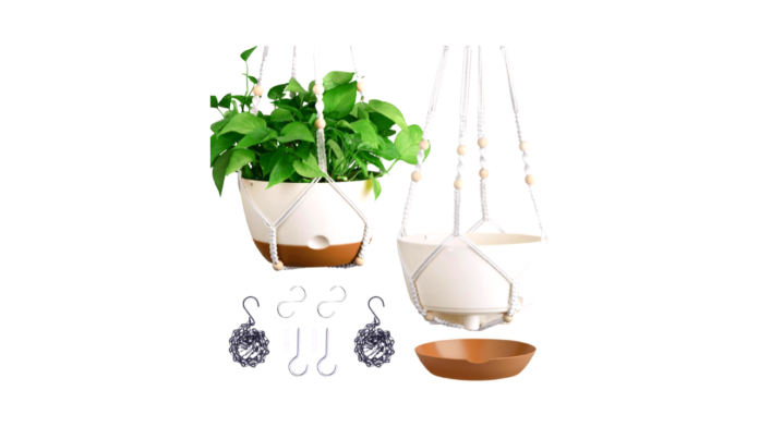 The Ultimate Guide to Choosing Hanging Planters